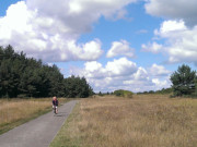 Radfahren auf der Insel Usedom: Radweg nach Kamminke.