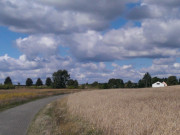 Am Inselflughafen: Wanderweg zwischen Garz und Kamminke.