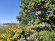 Herbstfarben: Fischerboot am Niemeyer-Holstein-Gedenkatelier.