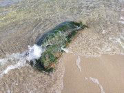 Stein im Meer bei ckeritz: Tang schwappt hin und her.