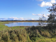 Naturpark Insel Usedom: Am Achterwasser bei ckeritz.