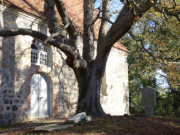 Alte Grabsteine: Kirchhof von Zirchow auf Usedom.