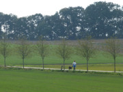 Allee: Weg vom Seebad ckeritz nach Stagnie.