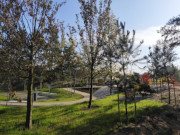 Ruhezone: Gartengestaltung an der Swinemnder Strandpromenade.