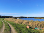 Fischerboot im Schilf: Deichweg an der Melle.