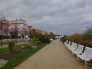 Leere Bnke: Sptherbst an der Strandpromenade von Bansin.