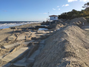 Kstenschutz auf Usedom: Sediment vom Meeresboden.