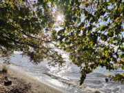 Am Strand von Kamminke: Lichtreflexe auf dem Haff.