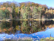 Zwischen ckeritz und Bansin: Herbstfarben am Mmmelkensee.