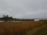 Dunkle Wolken: Novemberwetter auf Usedom.