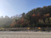 Bunte Palette: Laubfrbungen am Streckelsberg bei Koserow.