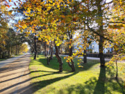 Strandpromenade von Heringsdorf: Usedomer Kaiserbder im Sptherbst.