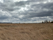 Herbstliches Schilf: Landschaft an der Krumminer Wiek.