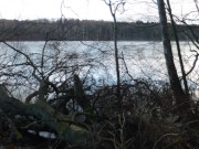 Am Wolgastsee: Novemberstimmung im Usedomer Hinterland.