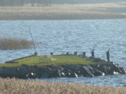 An der Finnhttensiedlung von Quilitz: Bootsanleger am Peenestrom.