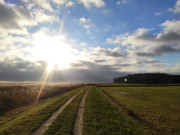 Deichweg am Achterwasser: Ostkste der Halbinsel Loddiner Hft.