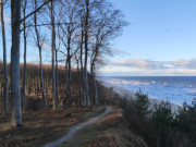 Buchenwald auf dem Langen Berg: Blick in Richtung ckeritz.