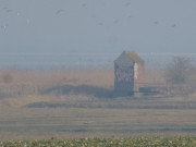 Schpfwerk am Haffdeich: Im Haffland der Insel Usedom.