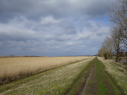 Deich am Peenestrom: Wanderungen auf der Insel Usedom.