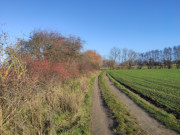 Usedomer Halbinsel Lieper Winkel: Deichweg am Achterwasser.