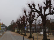 Einsam: Strandpromenade des Ostseebades Zinnowitz auf Usedom.