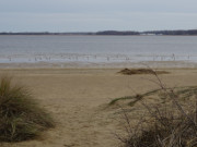 Sandstrand am Peenestrom: Im Hintergrund der Peenemnder Nordhafen.