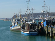 Fischerboote im Hafen von Sassnitz: Usedomer Nachbarinsel Rgen.