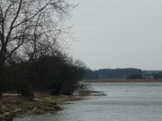 Insel im Achterwasser: Vogelschutzinsel Bmke.