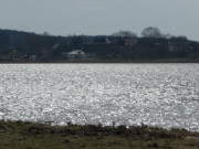 Blick ber den Nepperminer See: Hinterland der Insel Usedom.