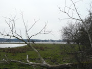 Wiesenland am Achterwasser: Landschaft bei Neppermin.