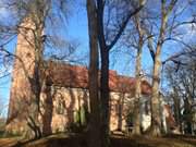 Warmes Sonnenlicht: im Kirchhof der Gemeinde Krummin.