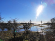 Mwenort auf dem Gnitz: Hochwasser an Peenestrom und Achterwasser.