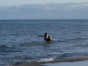 Die Angel auswerfen: Ostseekste der Insel Usedom.