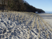 Blick zum Streckelsberg: Auslufer der neu aufgesplten Dne.