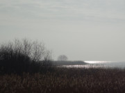 Sonnenfleck unter dunklen Wolken: Die Rieck in der Usedomer Mitte.