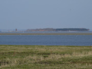 Usedoms Nachbarinsel Ruden: Am Greifswalder Bodden.