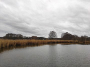 Graues Wasser, grauer Himmel: Wintertag am Schmollensee.