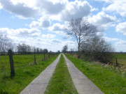 Wege durchs Moor: Thurbruch im Usedomer Hinterland.