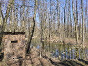 Kleiner "Spreewald": Kanle und Sumpf am Gothensee.