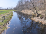 Thurbruch bei Kachlin: Meliorationsgraben am Kachliner See.