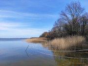 Bei Neppermin: Usedomer Achterwasserkste in Richtung Inselmitte.