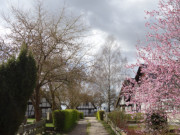 Ferienhuser am Peenestrom: Quilitz auf den Lieper Winkel.