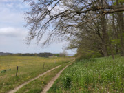 Sandweg am Waldrand: Am Rande von Sellin in der "Usedomer Schweiz".