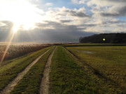 Deichweg an der Melle: Usedomer Halbinsel Loddiner Hft.