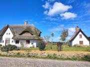 Usedomer Haffland: Rohrgedeckte Huser am Dorfrand von Stolpe.