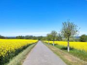 Blick herab aufs Achterwasser: Konker Berg im Usedomer Hinterland.