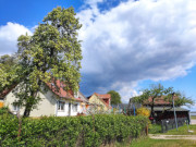 Idyll am Hafen: Wohn- und Ferienhuser in Kamminke.