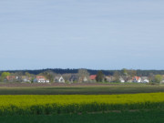 Abgelegenes Idyll im Usedomer Haffland: Das Dorf Gummlin.