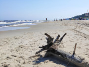 Inselmitte Usedoms: Ostseestrand von ckeritz.