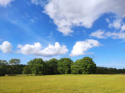 Wiesenland bei Neupudagla: Wunderbare Farben, hoher Himmel.